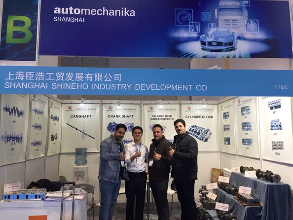 Shanghai Shineho Industry Development Co., Ltd.