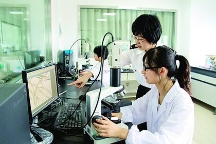 Shanghai Shineho Industry Development Co., Ltd.