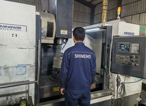 Shanghai Shineho Industry Development Co., Ltd.